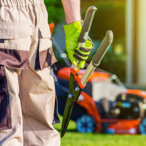 Ben is a Southampton based landscape gardener and tree surgeon, offering tree surveys and covering all aspects of tree surgery and landscape gardening, in the area of the New Forest, Eastleigh and Southampton.